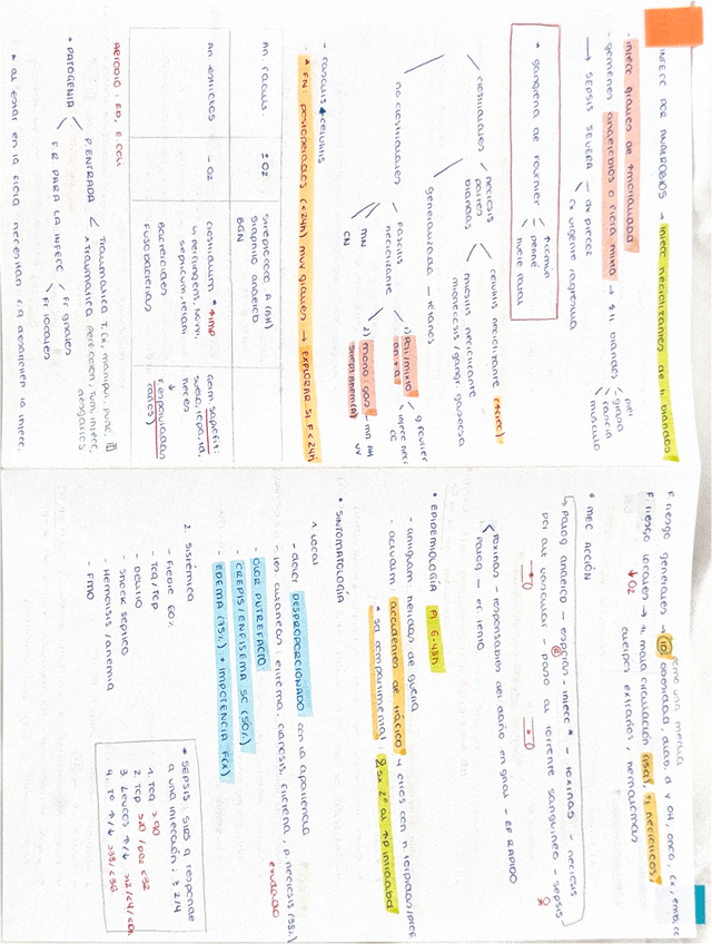 Miniatura del documento infecciones-por-anaerobios.pdf