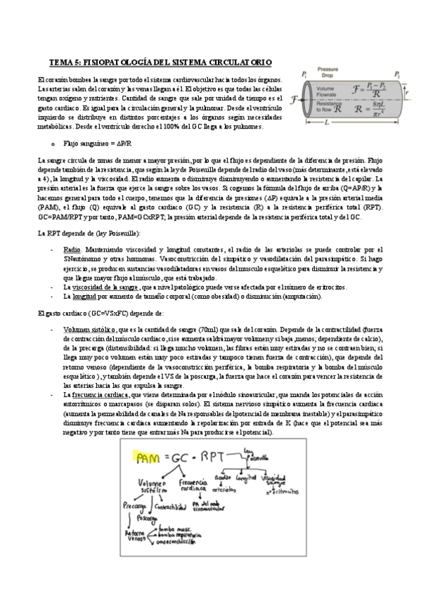 Miniatura del documento TEMA-5.-Fisiopatologia-del-sistema-circulatorio.pdf