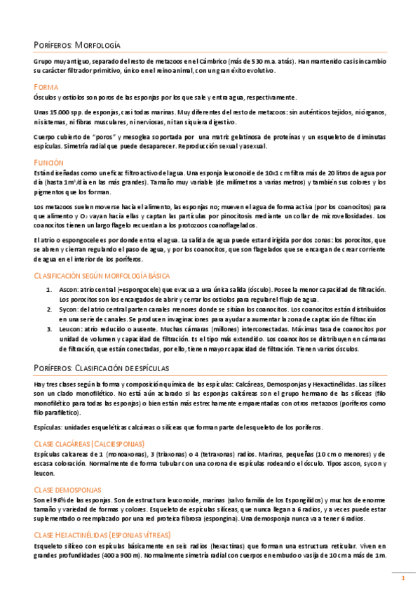 Miniatura del documento Examen preguntas.pdf