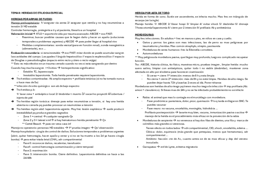 Miniatura del documento TEMA-9.-HERIDAS-DE-ETILIOGIA-ESPECIAL.pdf