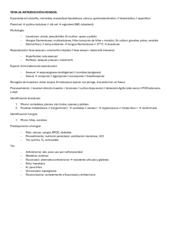 Miniatura del documento Hongos.pdf