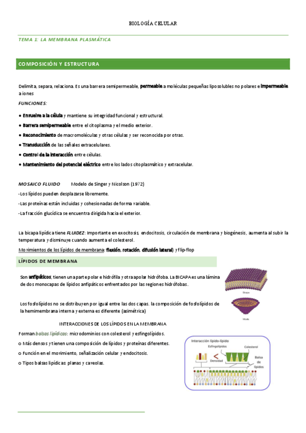Miniatura del documento BIOLOGIA-CELULAR-APUNTES-TODO.pdf