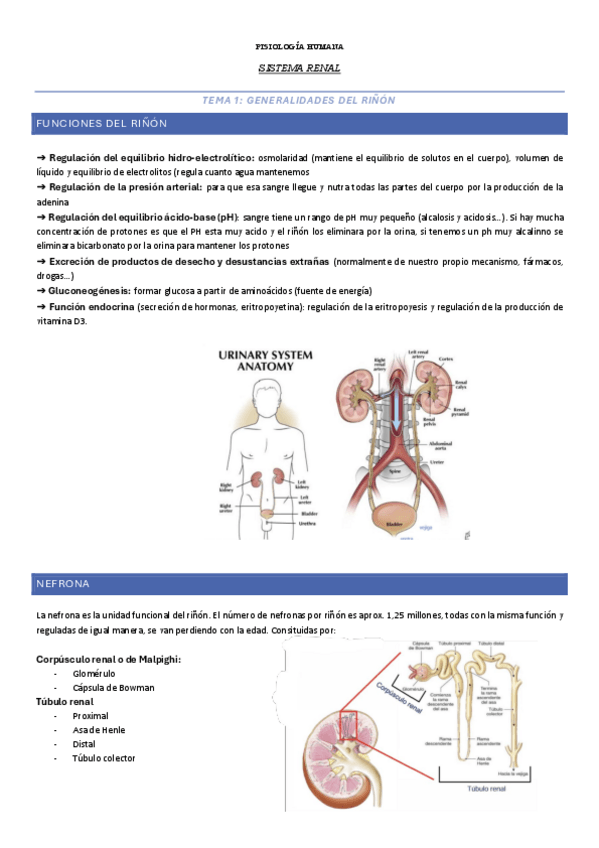 Miniatura del documento todo-2-parcial-FISIOLOGIA.pdf