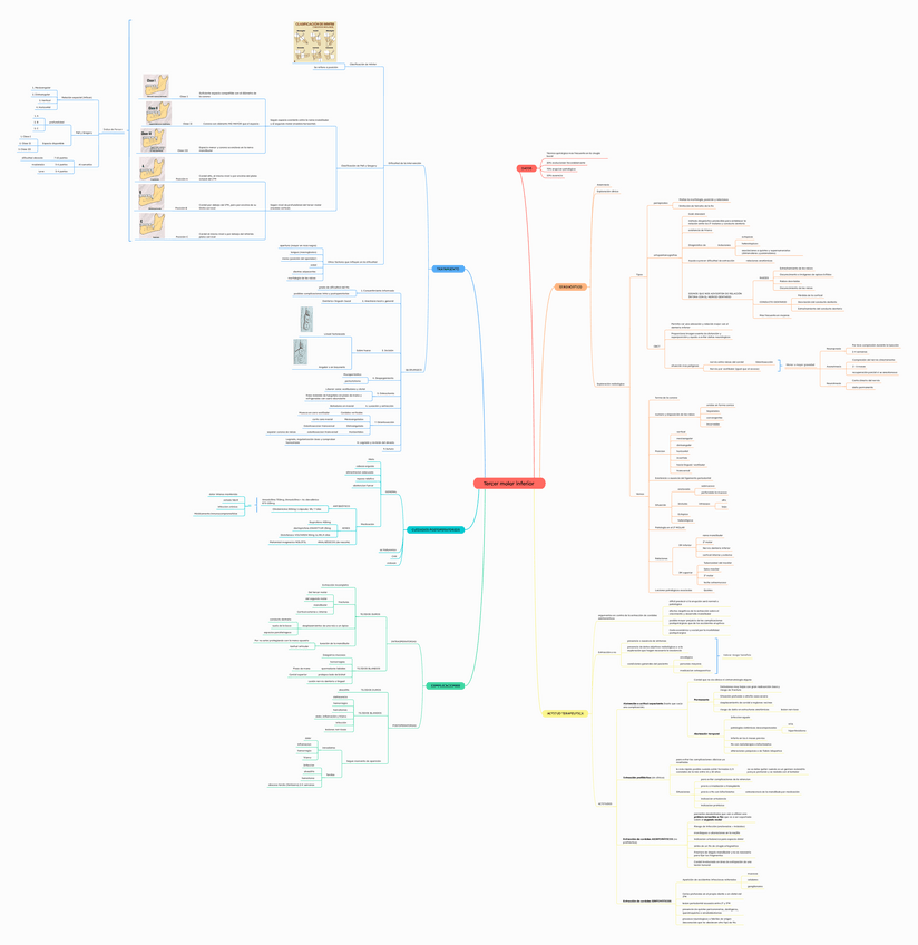 Miniatura del documento Tercer-molar-inferior.pdf