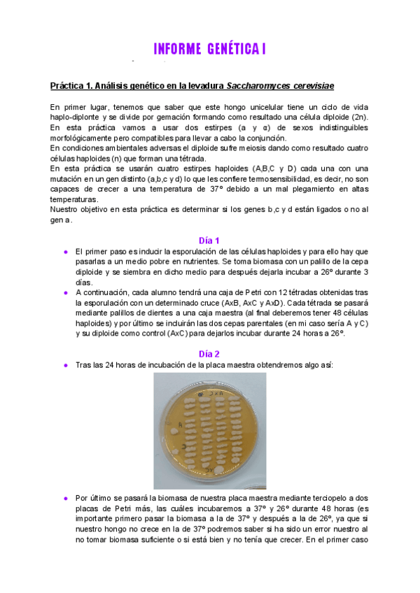 Miniatura del documento Informe-Laboratorio-Genetica-I.pdf