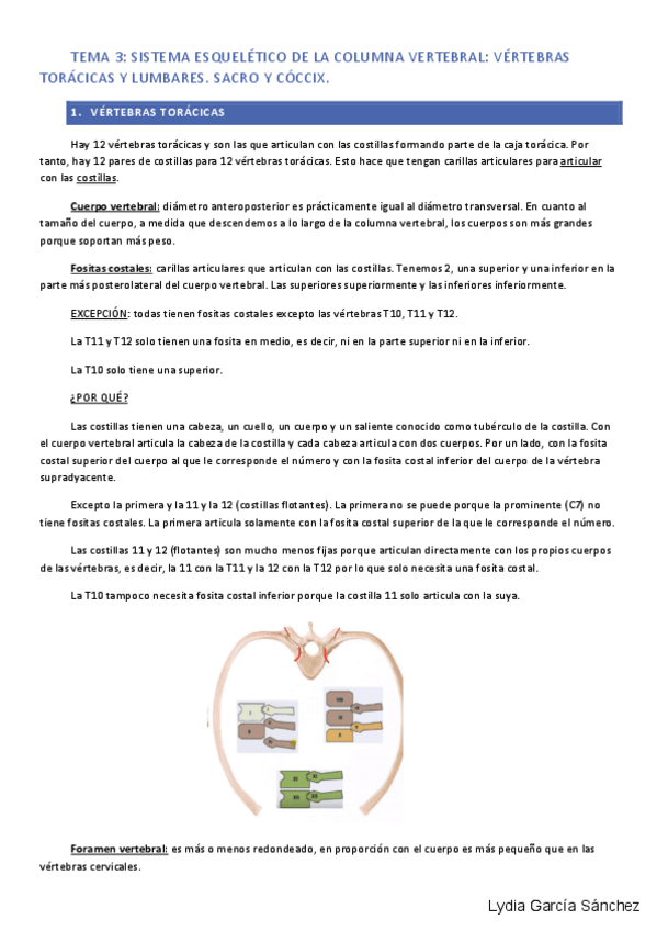 Miniatura del documento tema-3-anatomia.pdf