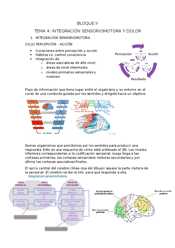 Miniatura del documento BLOQUE-II.docx