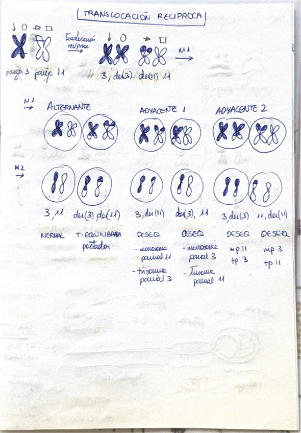 Miniatura del documento Practicas-embrio.pdf