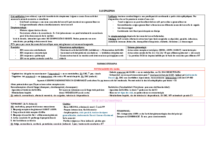 Miniatura del documento 3.8-Epilepsia-taula.pdf