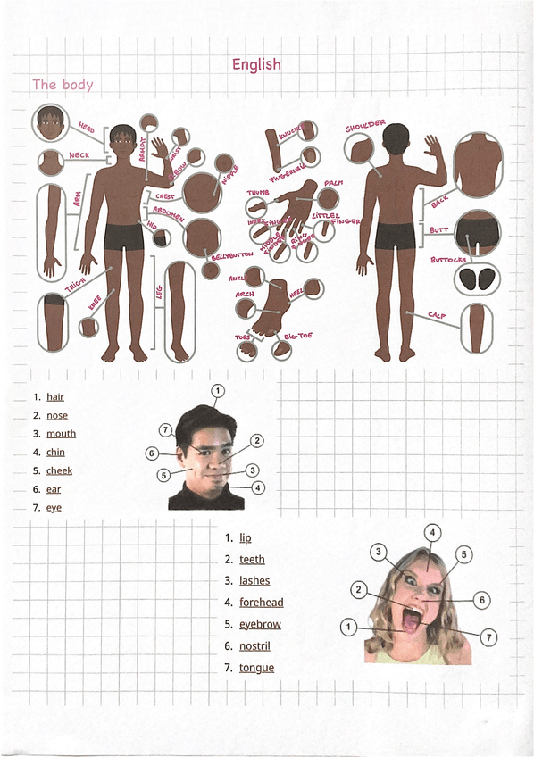 Miniatura del documento The-body.pdf