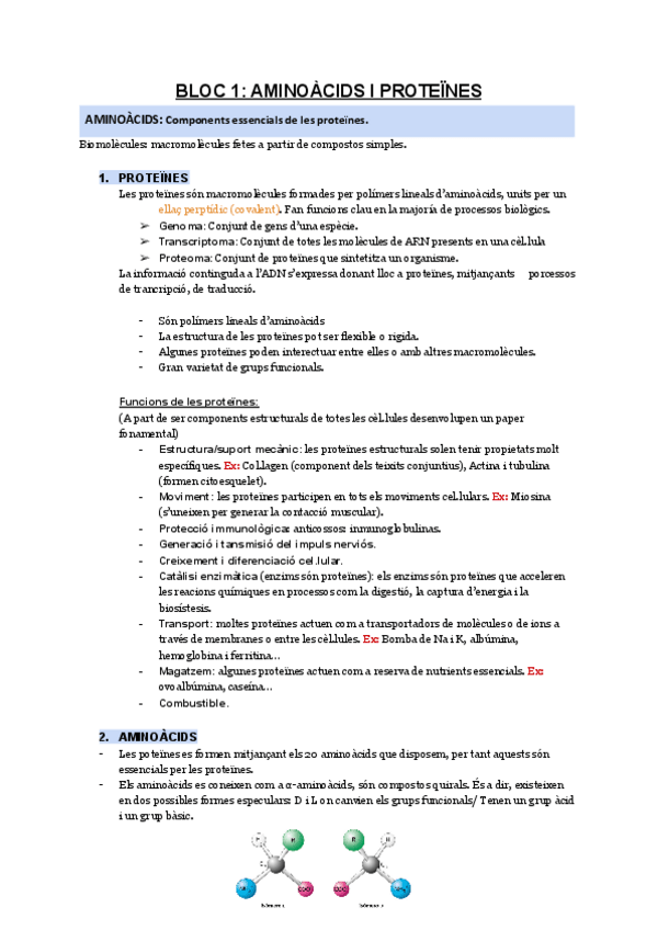Miniatura del documento BLOC-1-AMINOACIDS-I-PROTEINES.pdf