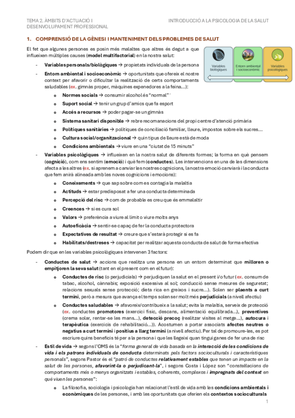 Miniatura del documento Tema-2.-Ambits-dactuacio-i-desenvolupament-professional.pdf