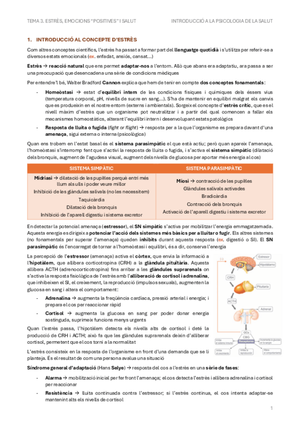 Miniatura del documento Tema-3.-Estres-emocions-positives-i-salut.pdf