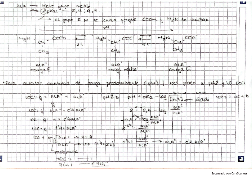 Miniatura del documento EXPLICACION-IONIZACION-AA.pdf
