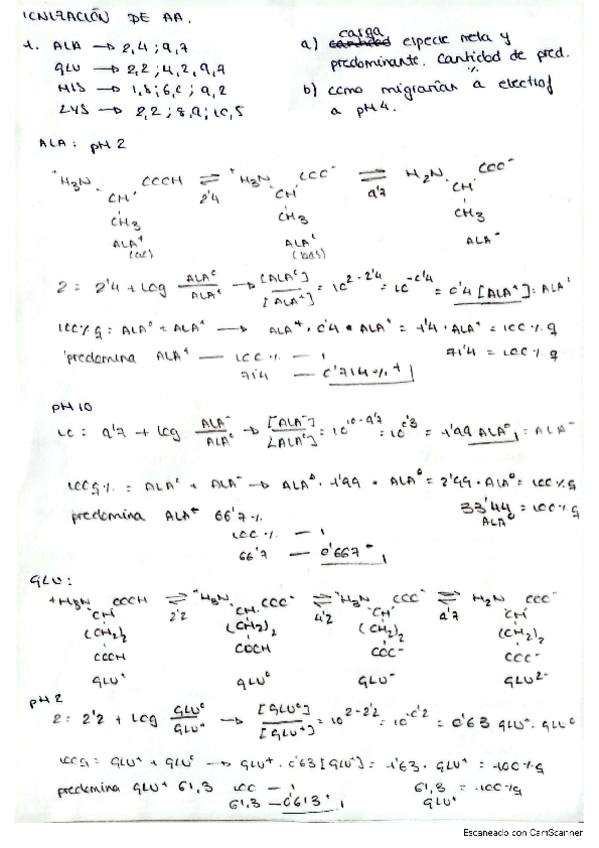 Miniatura del documento EJEMPLOS-IONIZACION-AA.pdf