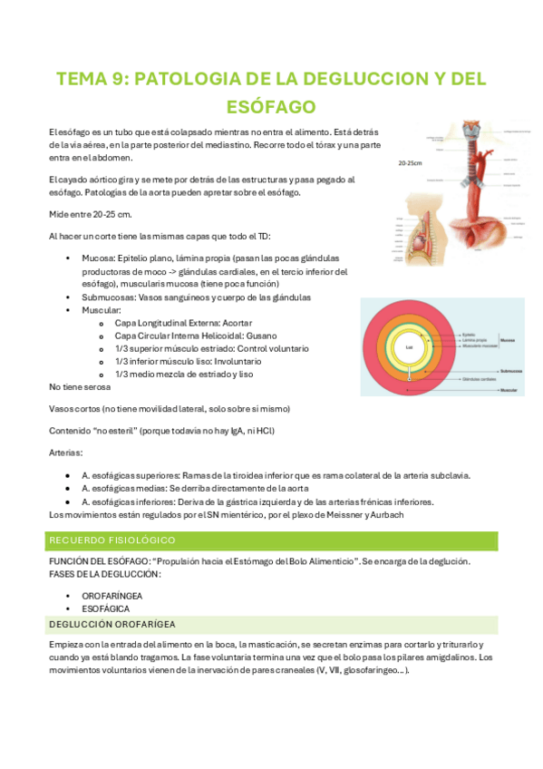 Miniatura del documento TEMA-9.pdf