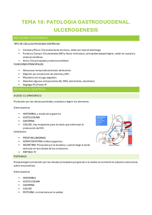 Miniatura del documento TEMA-10.pdf
