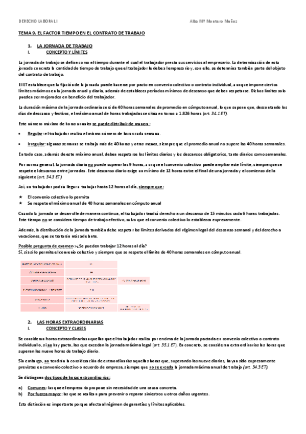 Miniatura del documento TEMA-9-LABORAL-I.pdf