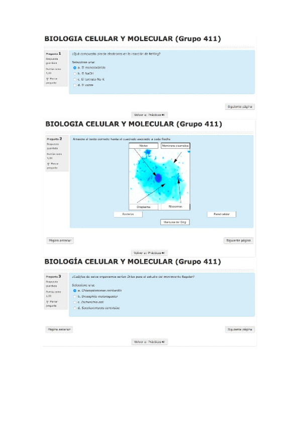 Miniatura del documento prácticas cuestionario moodle.docx