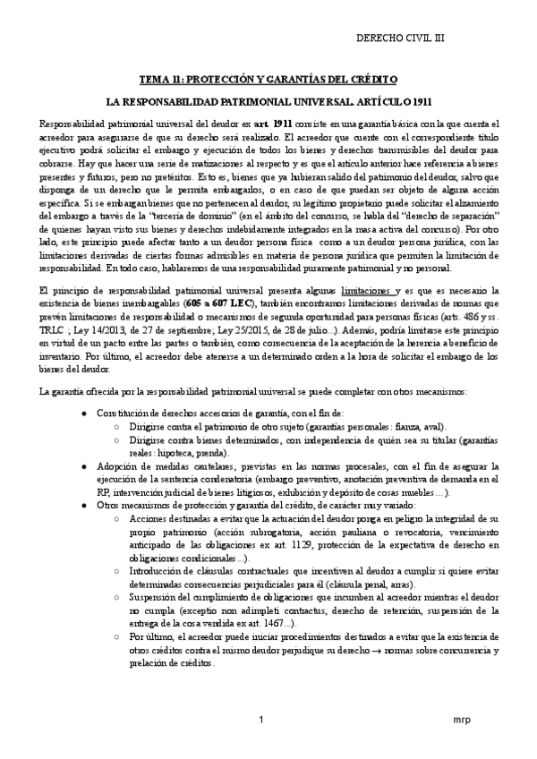 Miniatura del documento TEMA-11-PROTECCION-Y-GARANTIAS-DEL-CREDITO.pdf