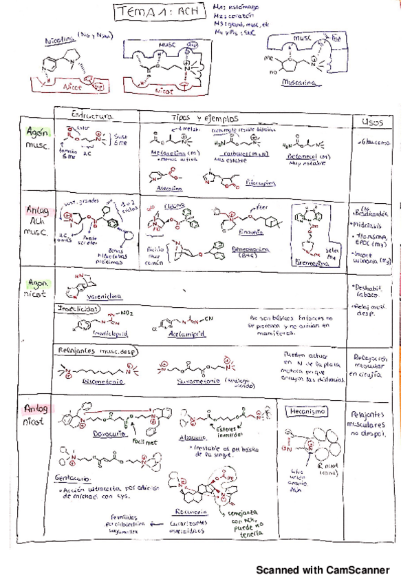 Miniatura del documento Tablas resumen primer parcial (temas 1-8).pdf
