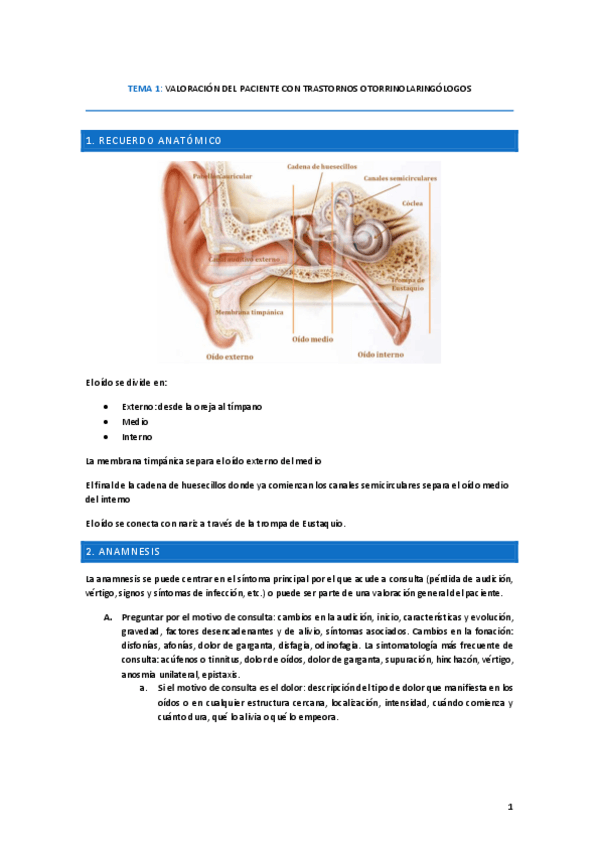Miniatura del documento ADULTO-III-BLOQUE-4.pdf
