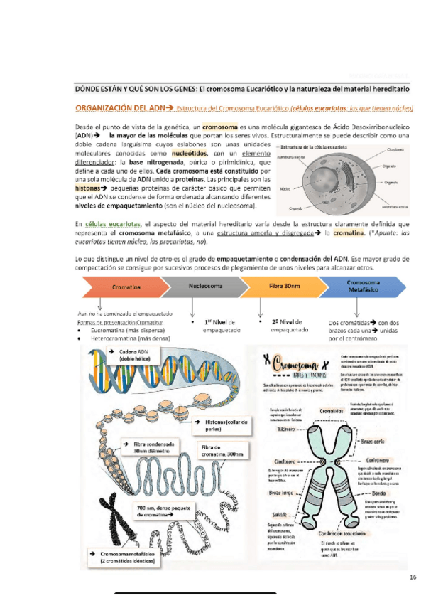 Miniatura del documento Ayuda-tema-2.pdf