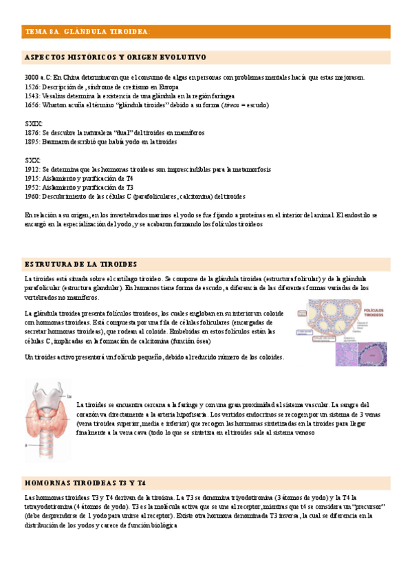 Miniatura del documento tema-8.-tiroides-y-paratiroides.pdf