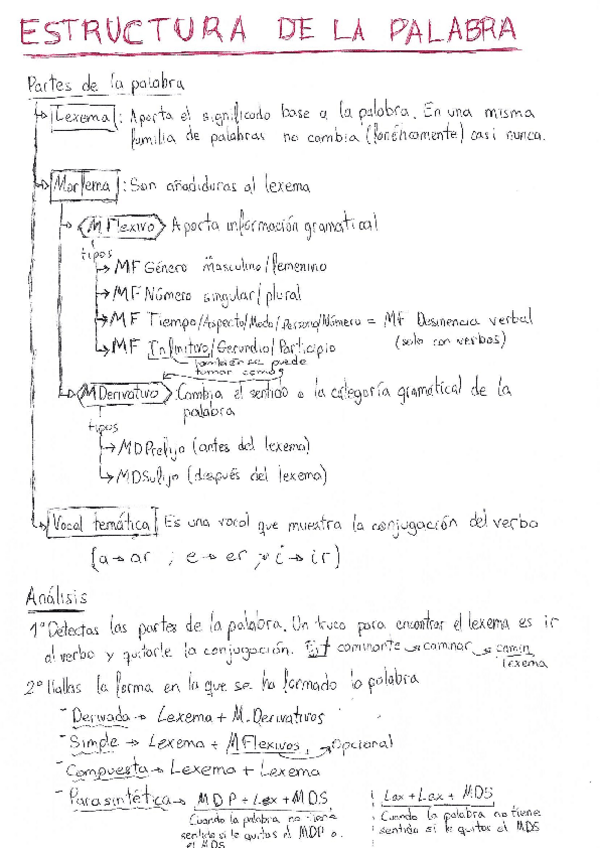 Miniatura del documento ESTRUCTURA-PALABRA-analisis.pdf