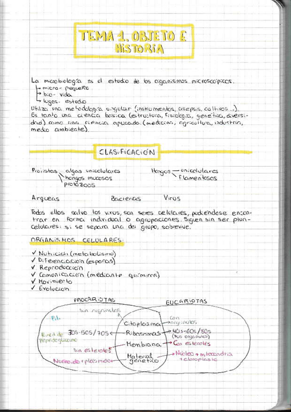 Miniatura del documento Micro-Tema-1.pdf
