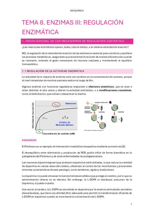 Miniatura del documento TEMA-8.-ENZIMAS-III.-REGULACION-ENZIMATICA.pdf