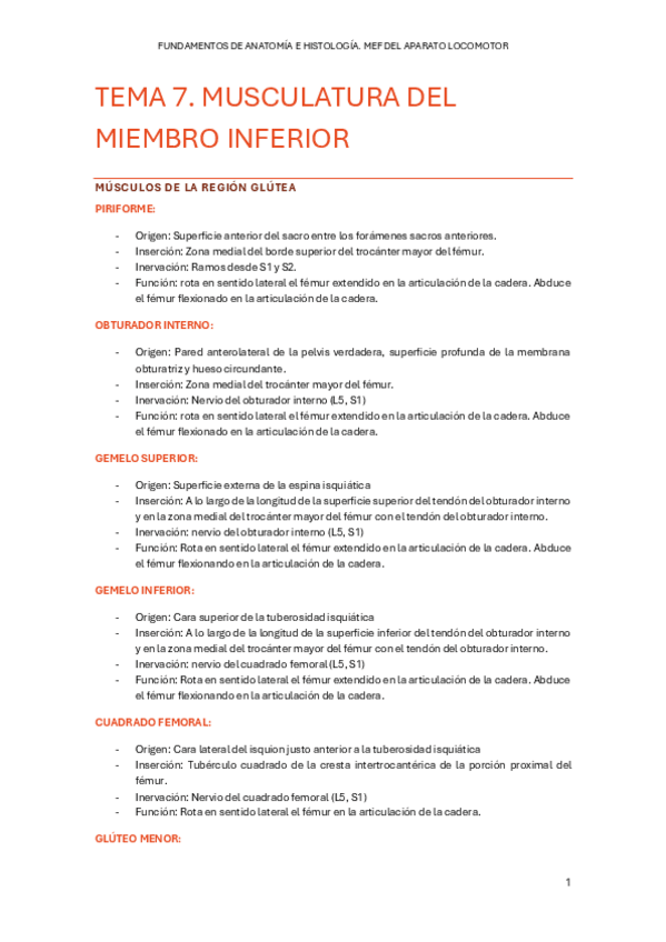 Miniatura del documento TEMA-7.-MUSCULATURA-DEL-MIEMBRO-INFERIOR.pdf