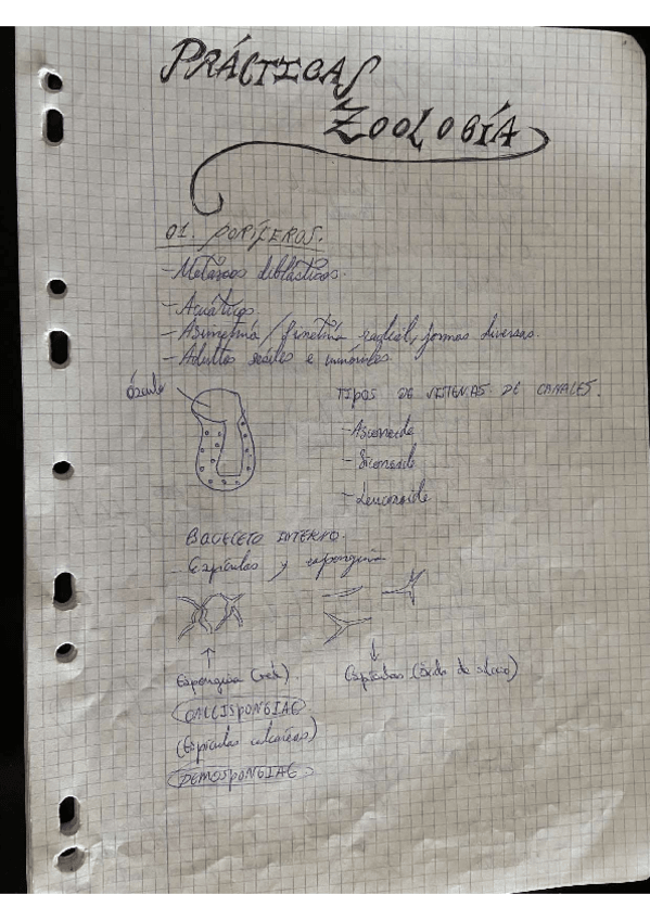 Miniatura del documento Practicas-zoologia-pdf.pdf