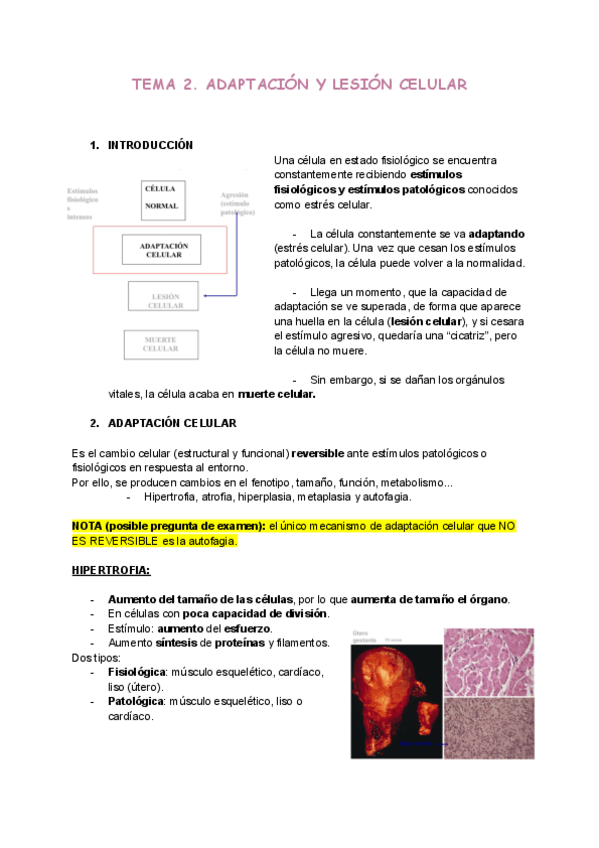 Miniatura del documento Tema-2.pdf
