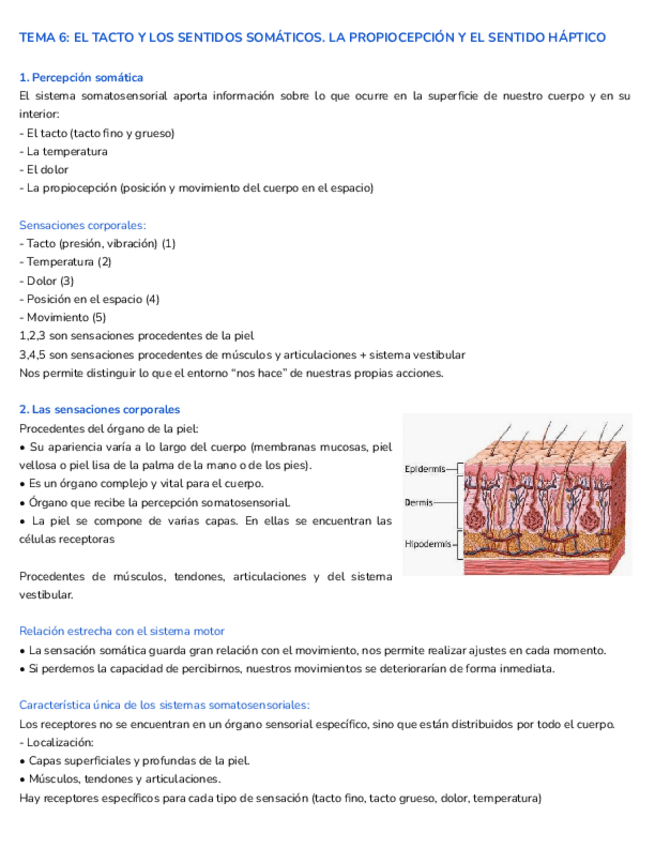 Miniatura del documento apuntes-procesos-tema-6.pdf