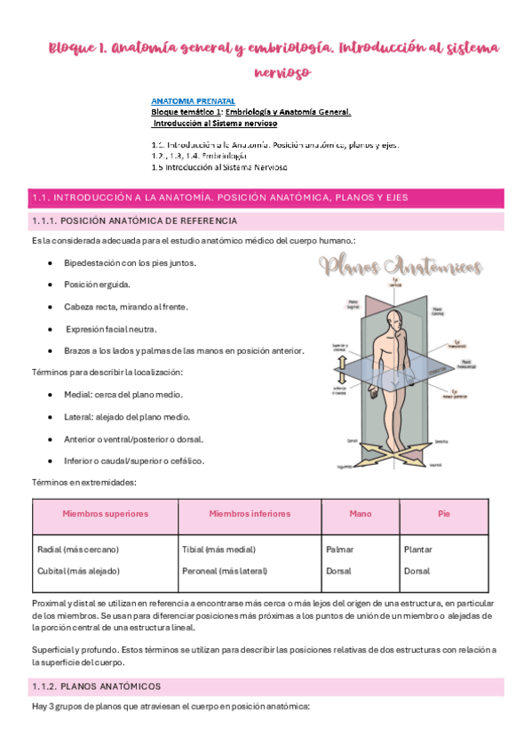 Miniatura del documento Bloque-1.-Anatomia.pdf
