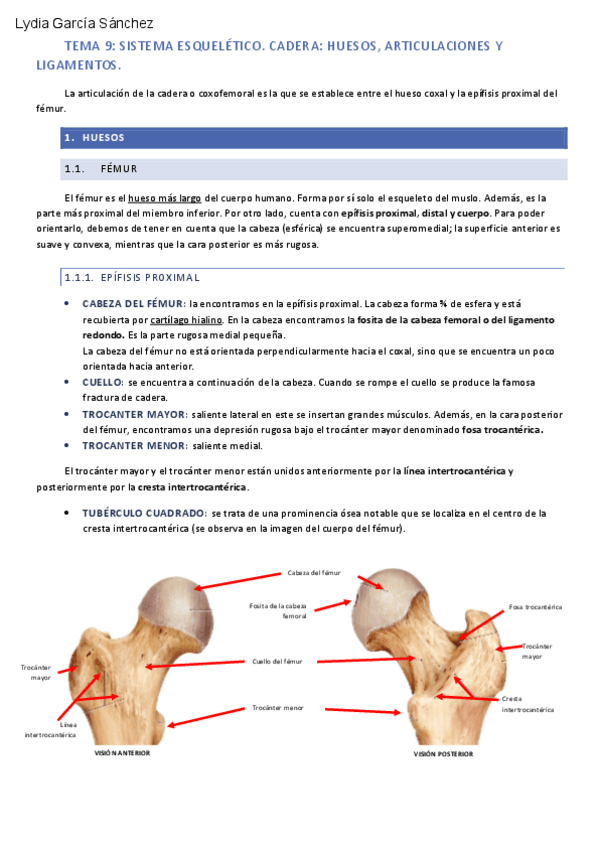 Miniatura del documento tema-9.pdf