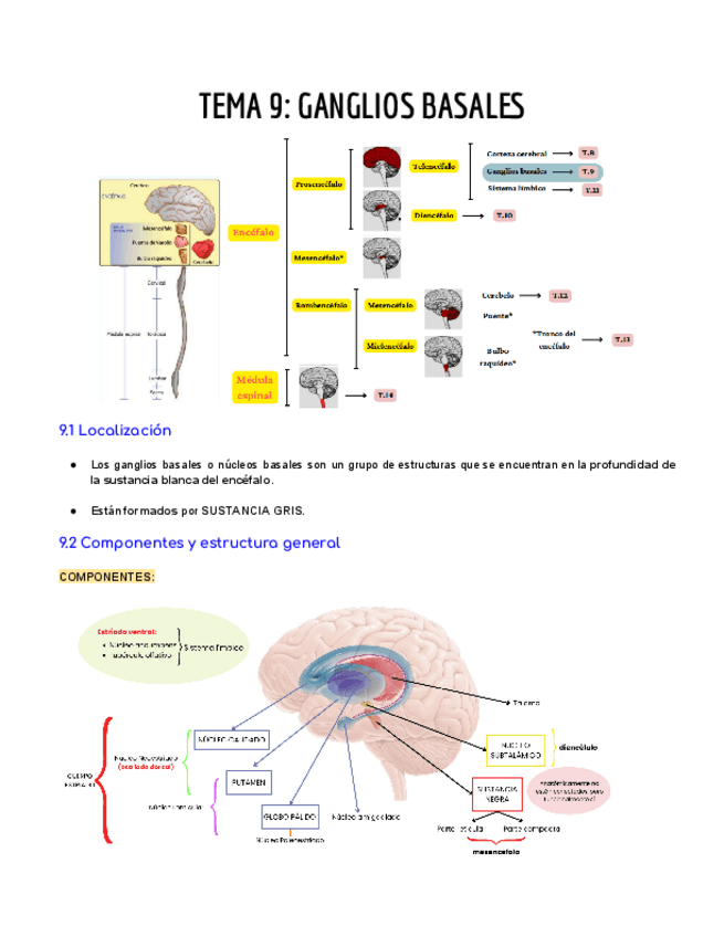Miniatura del documento TEMA-9-GANGLIOS-BASALES.pdf