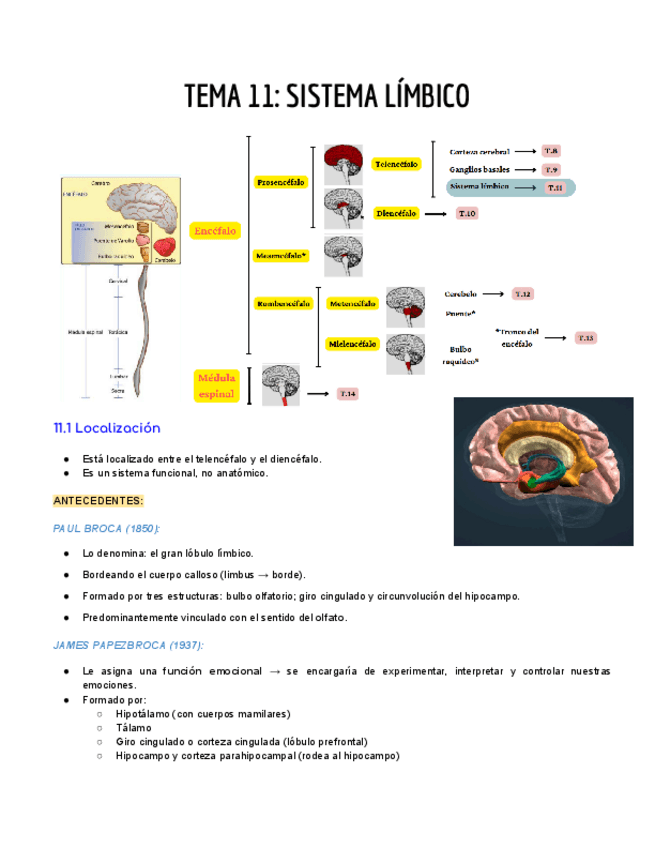 Miniatura del documento TEMA-11-SISTEMA-LIMBICO.pdf