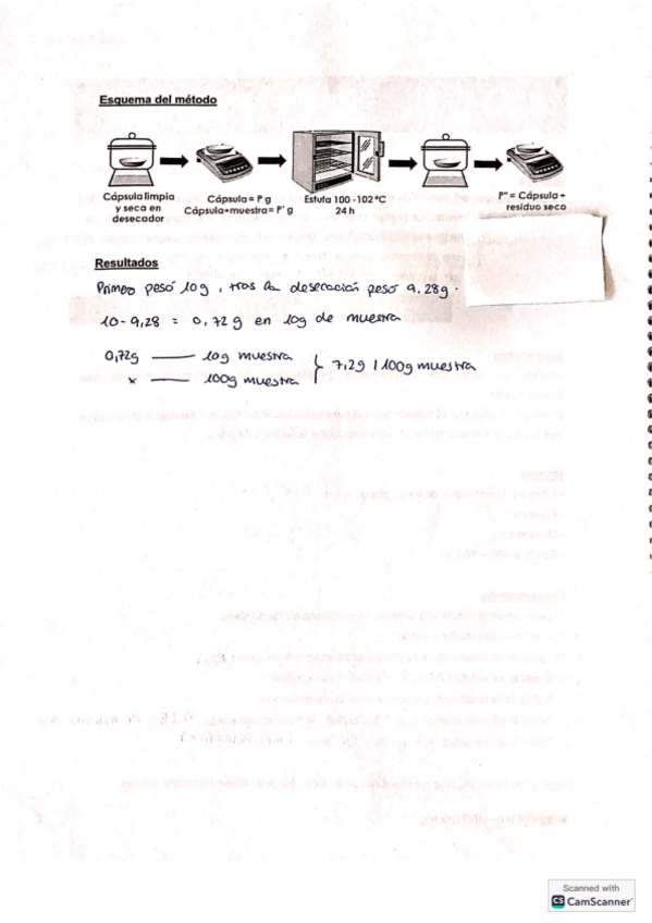 Miniatura del documento Guia de practicas bromatologia.pdf