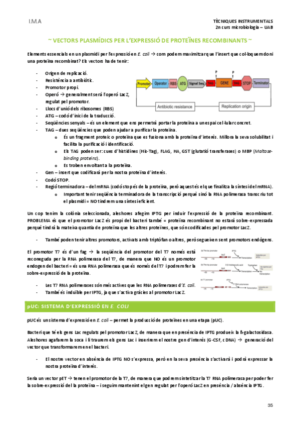 Miniatura del documento Tema-7.2.pdf