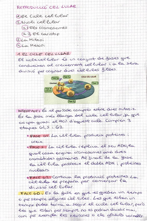 Miniatura del documento Reproduccio-cellular.pdf