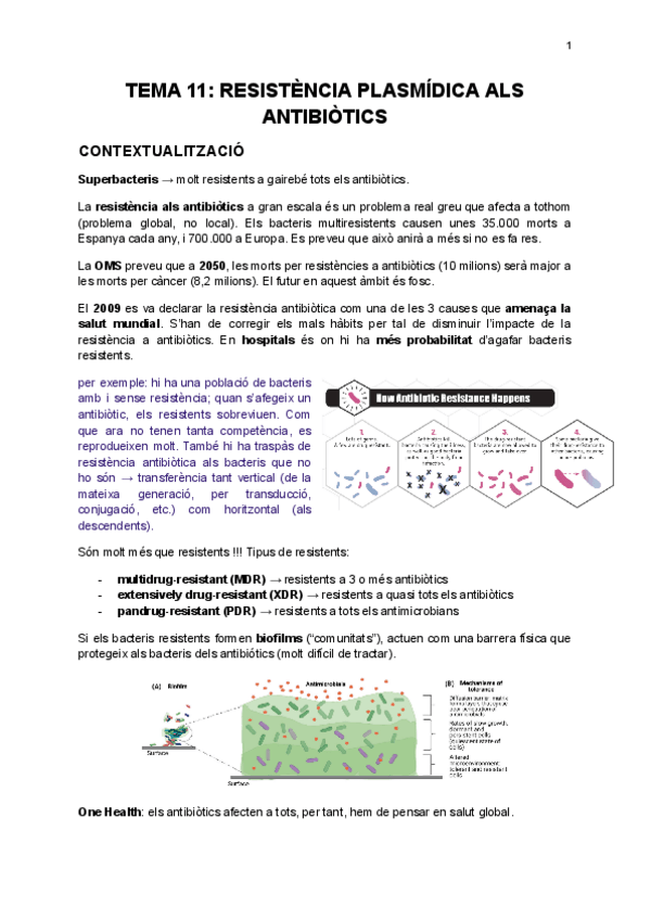Miniatura del documento tema-11-resistencia-plasmidica-als-antibiotics-2.pdf