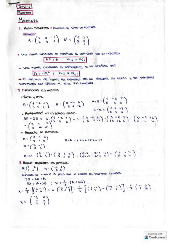Miniatura del documento Algebra-Matrices-Matematicas-II.pdf