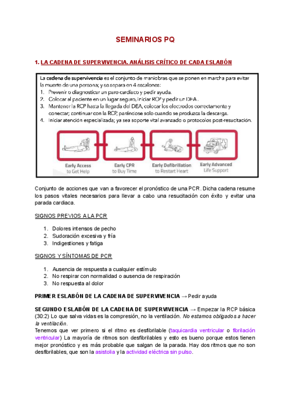 Miniatura del documento COSAS-IMPORTANTES-SEMINARIOS-PQ.pdf