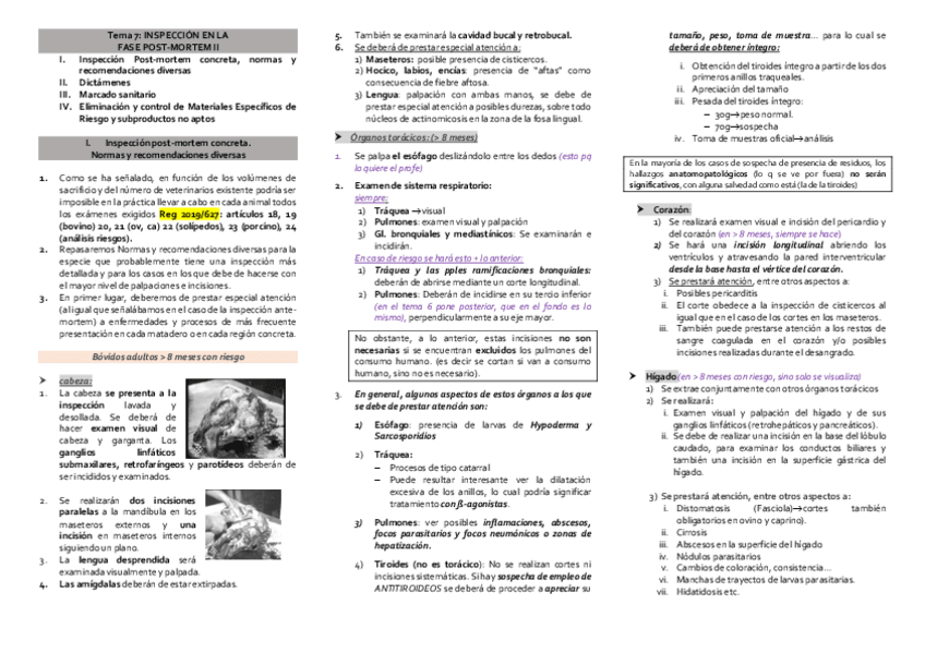 Miniatura del documento Tema-7.pdf
