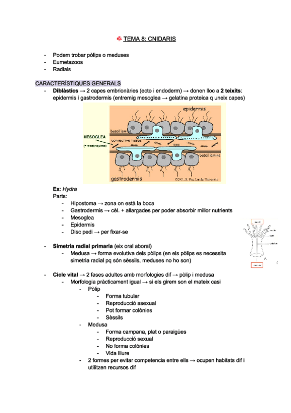 Miniatura del documento 2n-parcial-zoologia.pdf