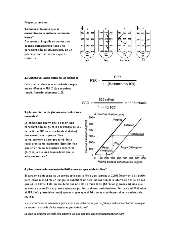Miniatura del documento Posibles preguntas de examen.pdf