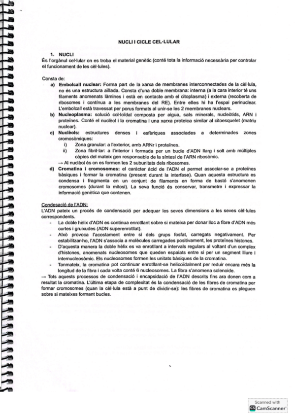 Miniatura del documento Nucli-i-cicle-celular.pdf