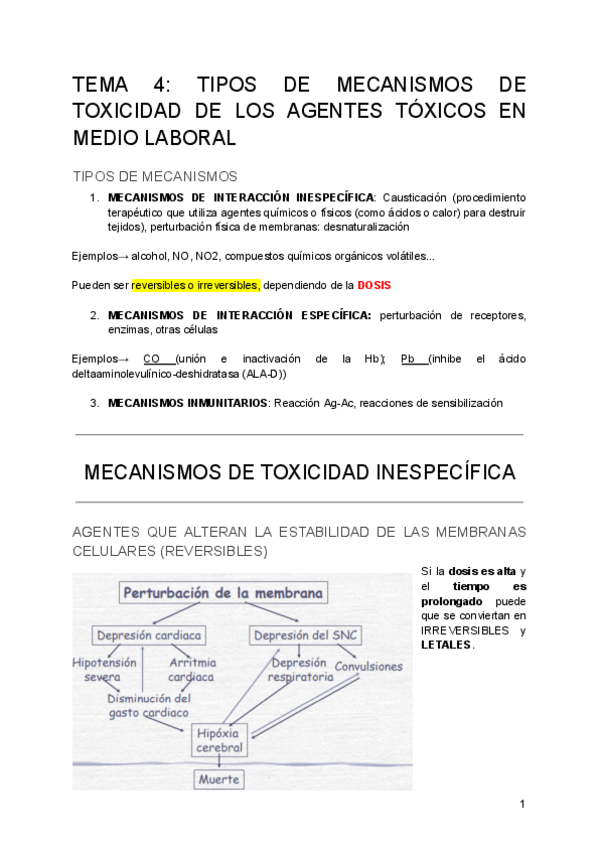 Miniatura del documento TEMA-4-7-2024-APUNTES-RRLL-2.pdf